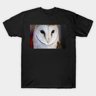 Barn Owl T-Shirt